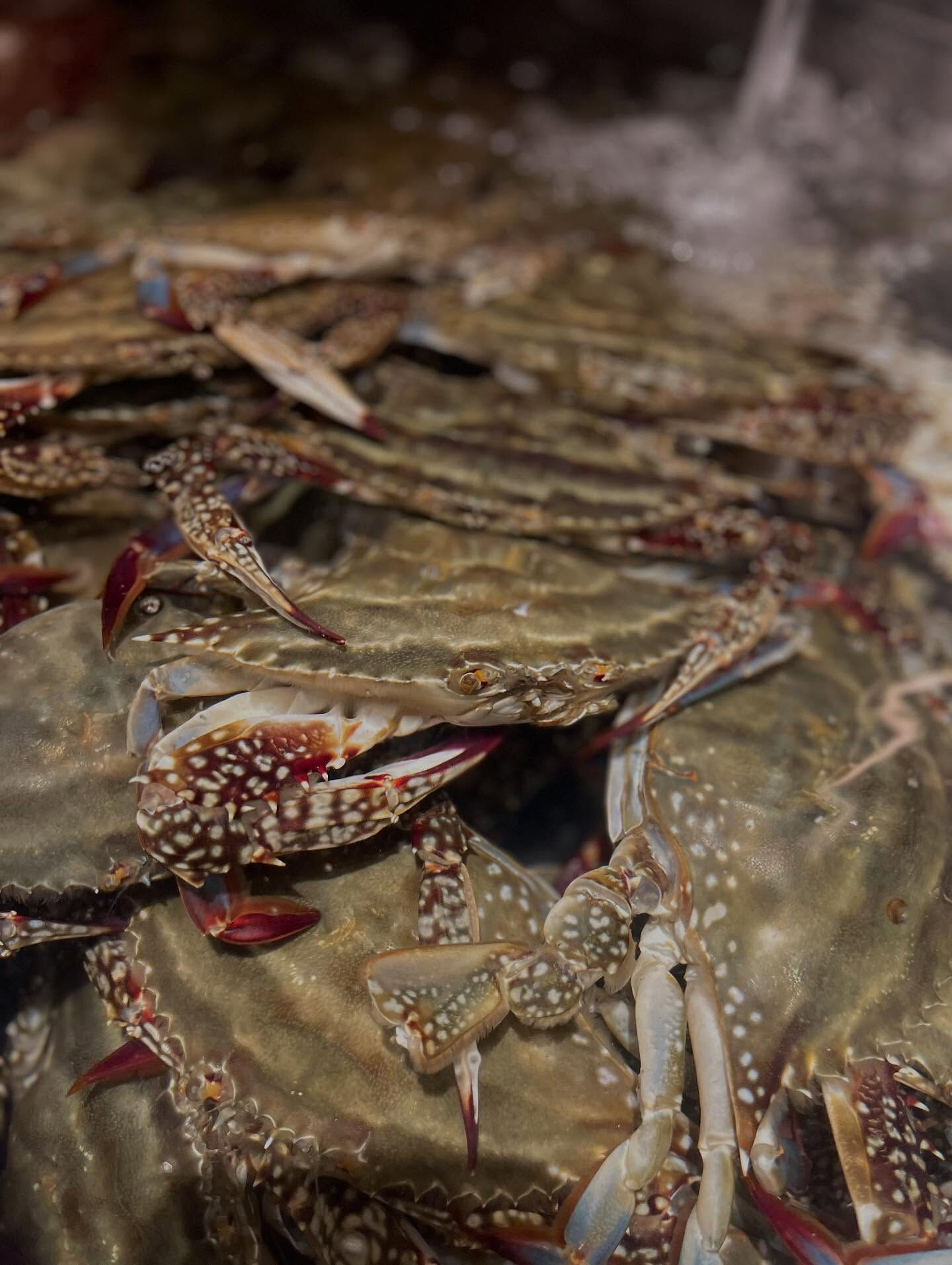 🦀✨ 本場韓国の味をそのままに ✨🦀